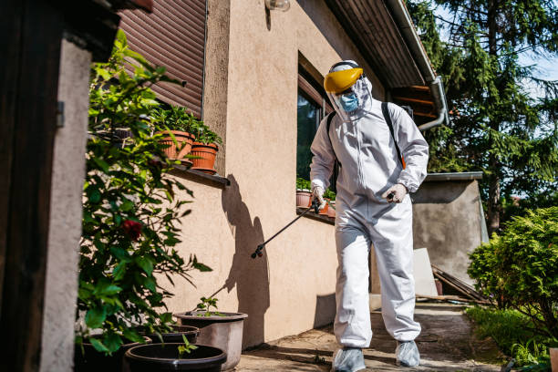 Best Exterminator Services  in Hanapepe, HI